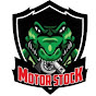 Motor Stock