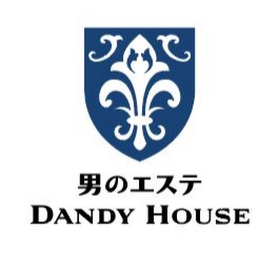 新品未使用DANDYHOUSE男のエステ ダンディハウス IPLヘアリムーバー よろしき