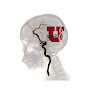 University of Utah Radiology and Imaging Sciences