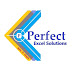 logo Perfect Excel Solutions