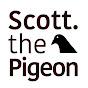 Scott The Pigeon