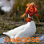 GraGOOSE