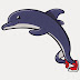 logo runwiththedolphin