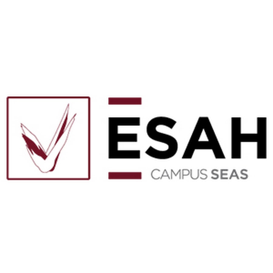 ESAH | Estudios Superiores Abiertos de Hostelería