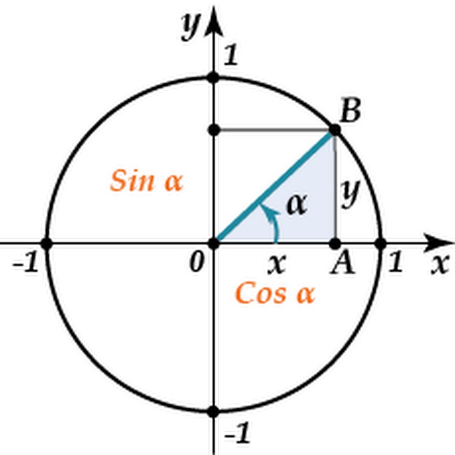 Sinus