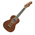 logo New Easy Ukulele Tabs