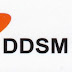 ddsm daeduk band