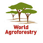 World Agroforestry