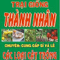 CÂY GIỐNG THÀNH NHÂN CÁI BÈ TIỀN GIANG