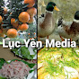 Lục Yên Media