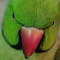 ParroTube