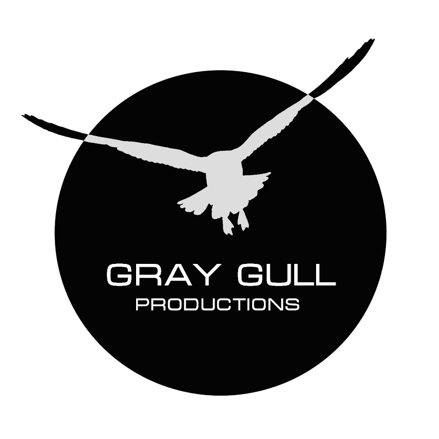 Gray Gull