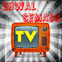 Ehwal Semasa TV