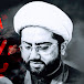 Maulana Kumail Mehdavi