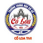 CỔ LOA TI VI