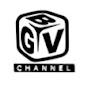 BGV channel