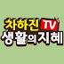 차하진TV