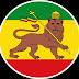 logo Reggae Halt