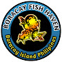 Boracay Fish Haven