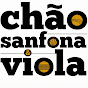 Chão Sanfona E Viola