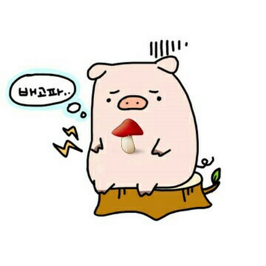 버섯돼지 - YouTube 버섯돼지