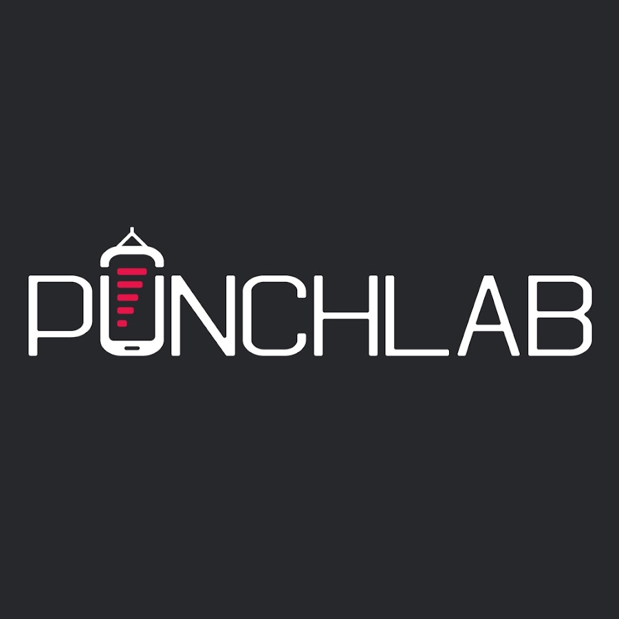 PunchLab Experience