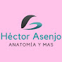 Héctor Asenjo ANATOMÍA Y MÁS