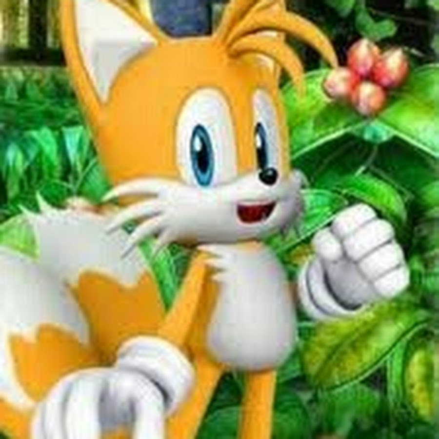 Tails kid. Тейлз из Соника. Майлз Тейлз Прауэр в одежде. Соник и Тейлз. Тейлз Джинджер.