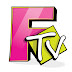 logo Franchise TV