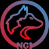 logo NGI Games