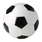 Fútbol Soccer Femenil