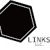 LINKS LLC