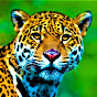 Leopardo Azul