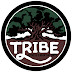 Tribe Vegas