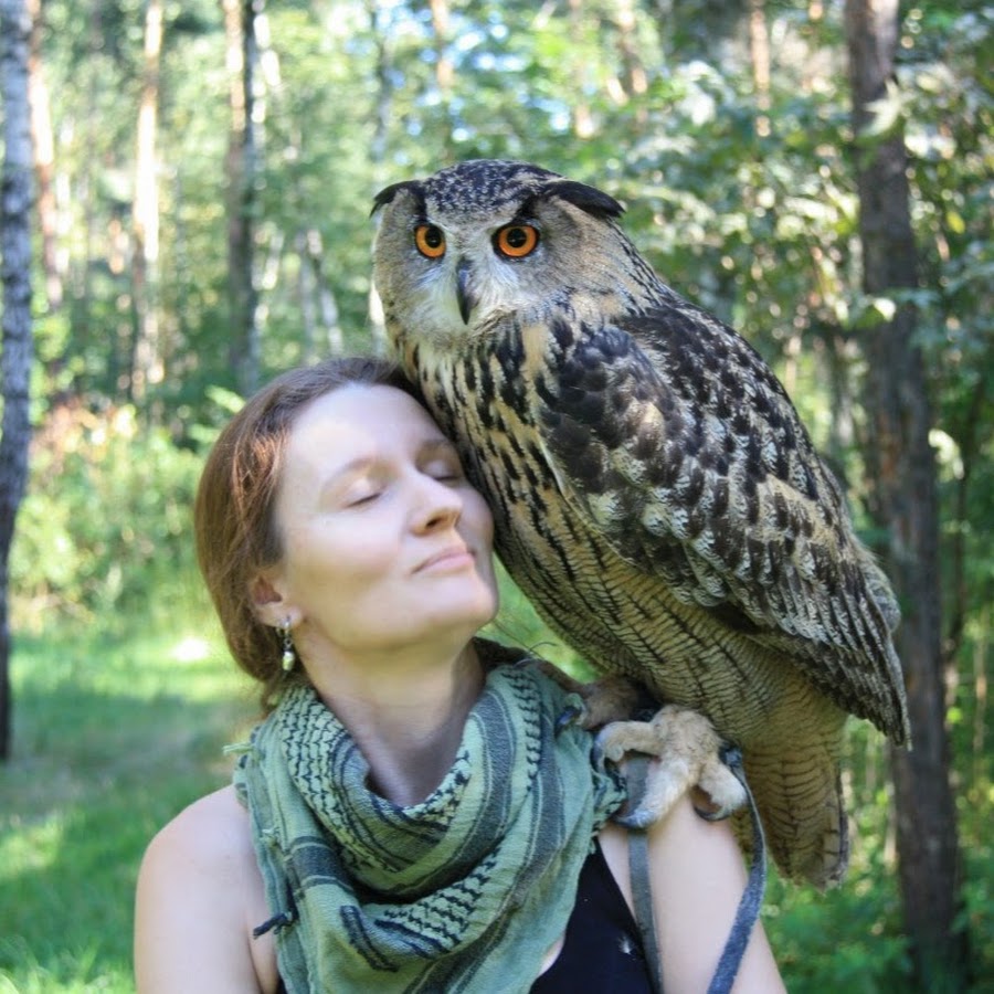 Yoll the Eagle-Owl