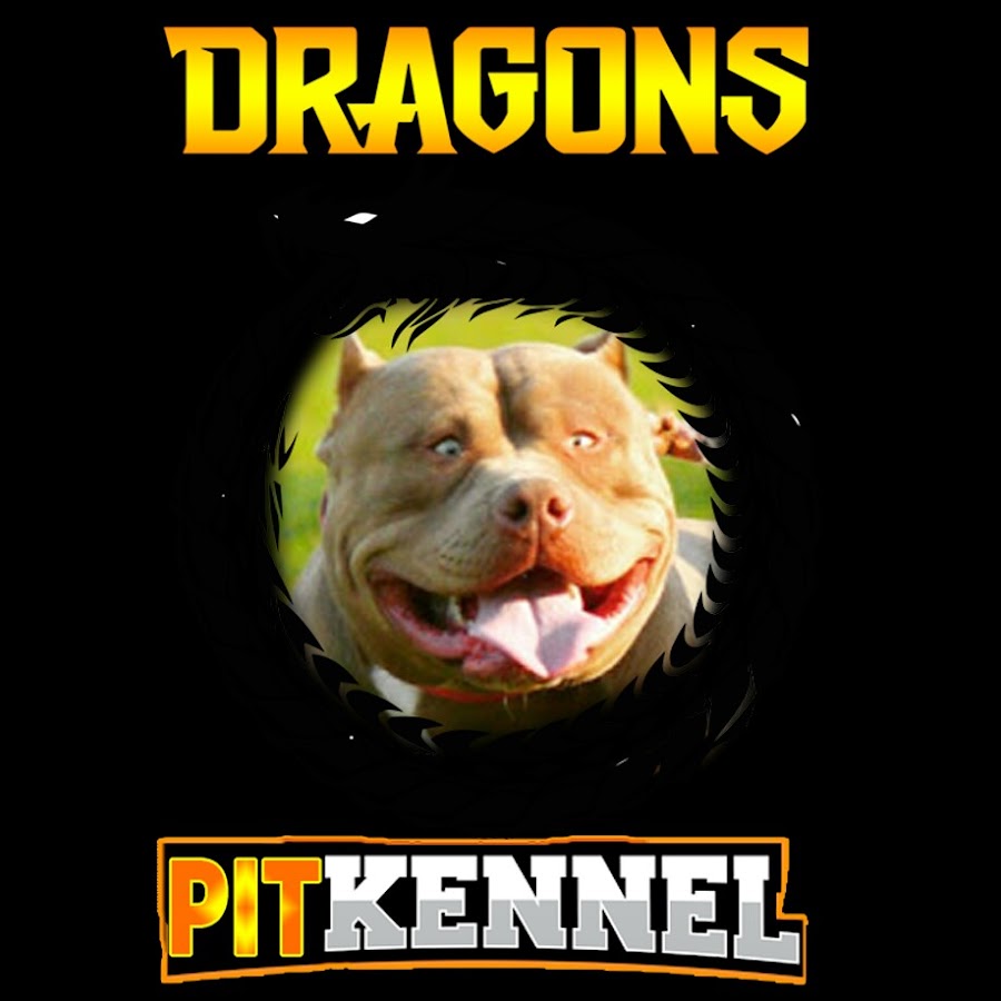 Dragons Pit Kennel @DragonsPitKennel