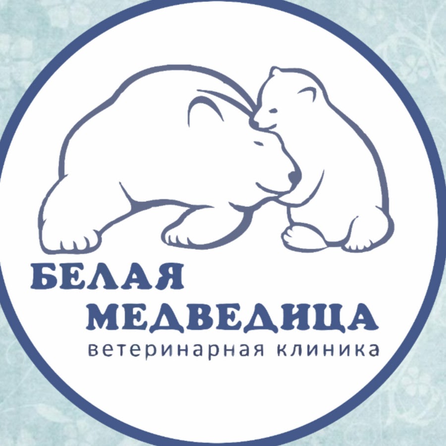 Белая медведица ул лермонтова 4 иркутск фото Ветеринарная клиника Белая Медведица - YouTube