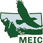 MEIC