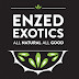 Enzed Exotics