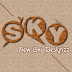 logo New Sky Designzz