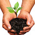 logo Urban Gardening