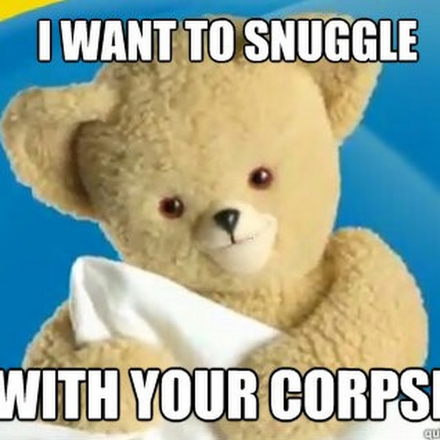 Get stuff. Snuggle Bear. White Bear meme.