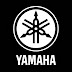 Yamaha Guitars Italy