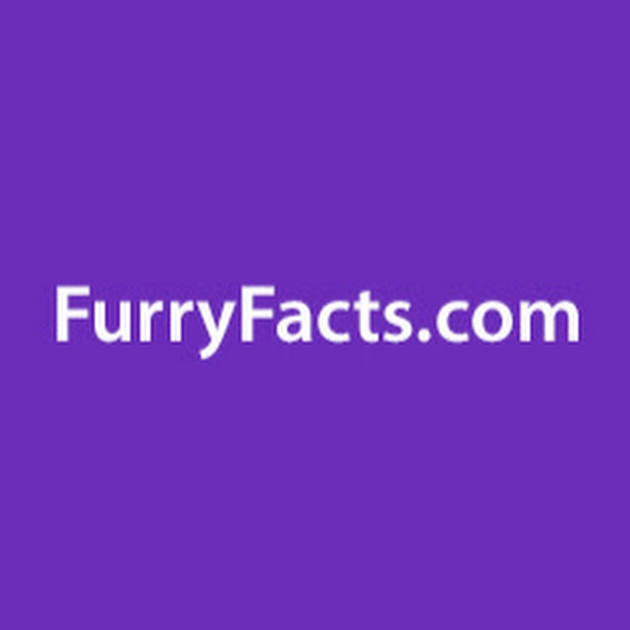 Furry Facts