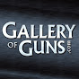 Davidsons GalleryofGuns