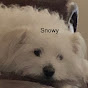 2012snowy