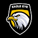 EAGLE EYE THE REAL STORIES