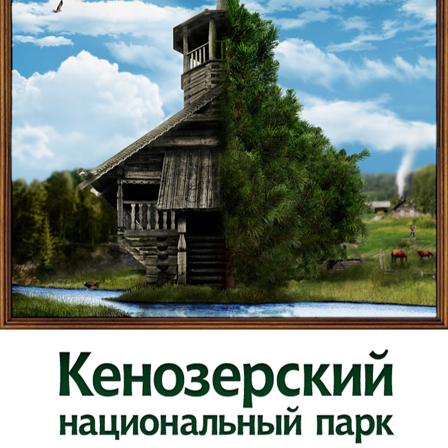 Кенозерский национальный парк проект 3 класс EcoEducation Kenozero - YouTube