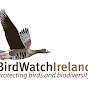 BirdWatchIreland