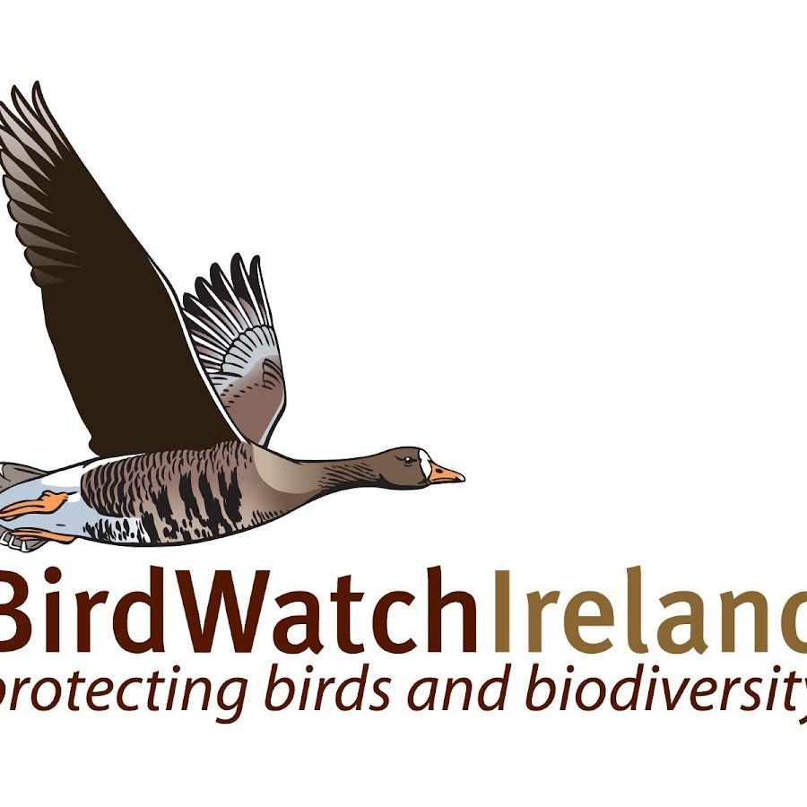 BirdWatchIreland